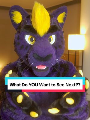 A post by @finnthepanther on TikTok caption: What do YOU Want to See Me Make in 2025?? P.S. Sorry for the echo 😅