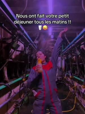 A post by @laetitia__blt on TikTok caption: Agriculture =Nourrir la population 🌾🚜👩🏻‍🌾🧑‍🌾#nourriture #agriculturetiktok #agriculture #importance #dejeuner #nourrir #repas #vacheslaitieres #montbeliarde #montbeliarde #maraichage #viande #agrigirl #agricultrice 