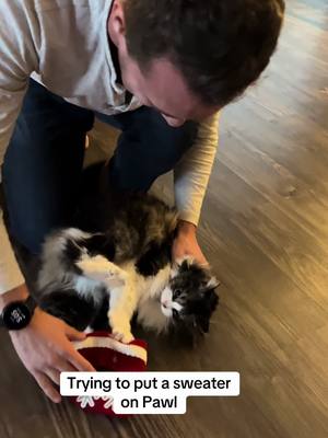 A post by @catnamedpawl on TikTok