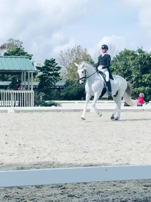 A post by @stephenhayesdressageride on TikTok caption: #fyp #equestrian #equestrianlife #horses #horse #foryoupage #horsesontiktok #horseboy #horsegirl #horseguy #dressage #equestrians #equines #horsetiktok #equinetiktok #dressage #dressagerider #dressagehorse