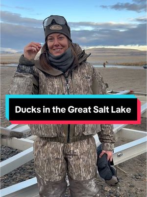 A post by @barstooloutdoors on TikTok caption: A thing or two about hunting in the Great Salt Lake