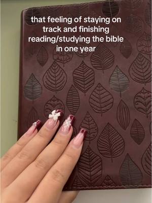 A post by @sydneyjournals on TikTok caption: i stayed on track this year and finished the bible in one year. oh the journey it has been! so many trials this year but i could not be more grateful for how much closer it has gotten me to God. i will be doing this again in 2025, and again, and again… bible tracker: mine highlighters: mr. pen bible: esv by crossway  #Jesus #biblejournaling #Bible #biblejournal #journalingbible #biblejournalingcommunity #bibleverse 