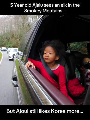 A post by @mazelee on TikTok caption: My kids thoughts while driving in the Smokey mountain’s… #mazelee #family #foryoupage 