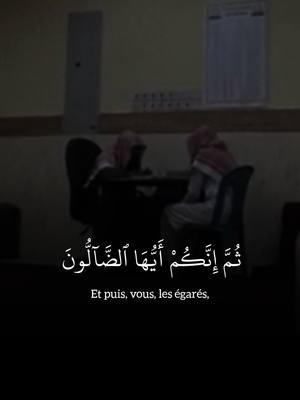 A post by @mhmd_abu_issa on TikTok caption: Sourate Al-Waqi'ah V49-56 par ? #islam#muslim#coran#quran#fyp 