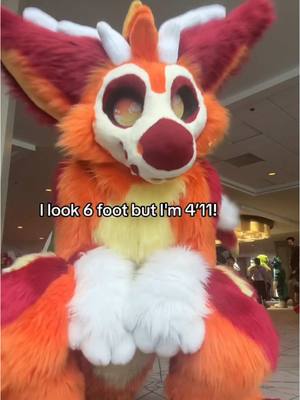 A post by @reddpawz on TikTok caption: I stopped growing in 7th grade! #furry #fursona #fursuit #fursuiter #furryfandom #furrytiktok #fyp #fypシ #trending 