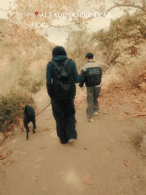 A post by @shotaisoda19 on TikTok caption: long hike with the dawgs #hike #dogs #gopro 