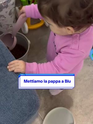 A post by @imbluscottish on TikTok caption: Da brava sorella mette a mangiare a Blu … ma poco che sta a dieta 🤣 #bimba #blueelisa #bimbafelice #gattoebimba #gattotiktoker #elisaeblu #gattoebambini #gatti #gatto 