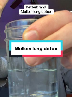 A post by @farmin_rambo18 on TikTok caption: Clean lungs for the win  #mullein #mulleinleaf #mulleinextract #mulleinlungdetox #lungdetox 