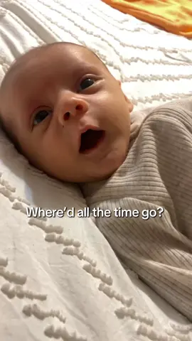 A post by @paytonvidmar on TikTok caption: August to December🥹 my baby is growing so fast #babyboy #mamasboy #briggs #babiesoftiktok 