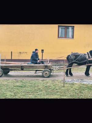 A post by @jm2308.1 on TikTok caption: 🐴❤️🇹🇩#fyp #cairomania #romania 