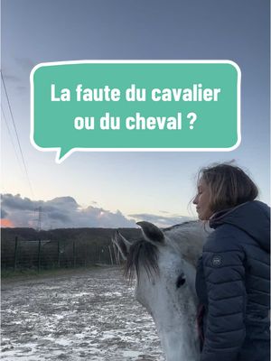 A post by @reflexions_equestres on TikTok caption: « Ce n’est jamais la faute du cheval , toujours celle du cavalier »… Vous êtes d’accord ? 🧐 #equitation #ethologie #ethologieequine #cheval 