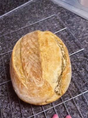 A post by @fiona_delilah on TikTok caption: Make some sourdough using my new sourdough kit! #sourdoughbread #sourdoughbaking #sourdoughscoring #sourdoughtok #sourdoughstarter 