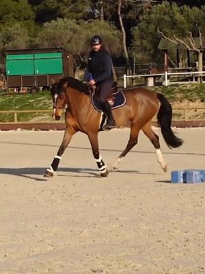 A post by @terredesportequestre on TikTok caption: Cheval qui tire sur les rênes : comment faire 🤔  lien en bio  #cheval #horse #equitation 