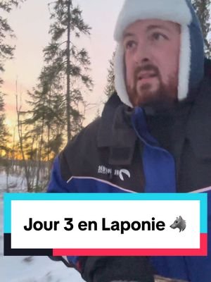 A post by @moguiztrip on TikTok caption: Jour 3 en Laponie 🐺 Aujourd’hui c’est balade en chien de traîneau (inclus dans le prix du voyage) et visite du snow hôtel ! Collaboration commerciale avec @Travelbase_ 