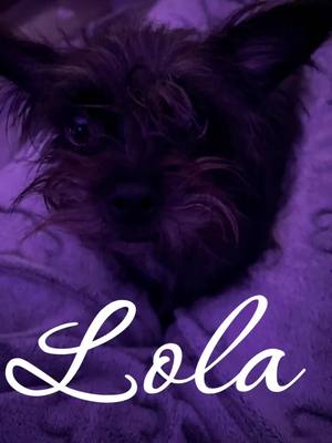 A post by @buttersmilks_ on TikTok caption: I love Lola