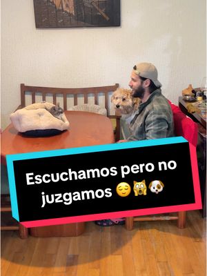 A post by @somosfamiliapeluda on TikTok caption: Escuchamos pero no juzgamos 😌🙀🐶 #gatos #perros #mascotas #comedia 