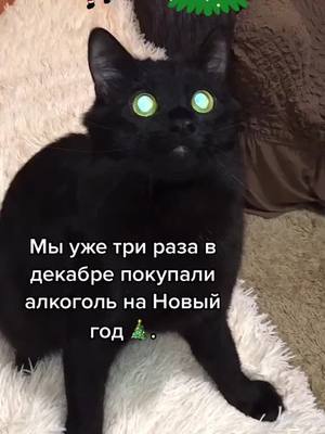 A post by @catbegemot911 on TikTok caption: #ВэтотДень 