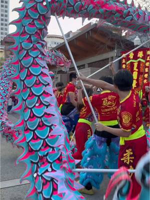 A post by @liondanceme on TikTok caption: WORLD DRAGON & LION DANCE DAY 2025 🐉 WARMUPS #wdldd2025 #WDLDD #liondanceme #柔功門 #yaukungmoon #ykmworld #dragondance #liondance #ldm #martialarts #kungfu #APT 