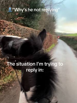 A post by @brandonjohnmills on TikTok caption: Thought I was taking the chilled horse out today but no 😂 #fyp #foryoupage #horse 