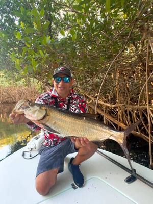 A post by @urbanfloridafishing on TikTok caption: Fishing for tarpon deep in the Everglades was easily one of the best trips I've ever taken—full of adrenaline rush! The bait I'm using is my Assassin swimbait on a 3/8 oz Red Eye jig head. The links to both is in my bio 💪. Also, half of my website is on sale, so be sure to check it out! Just FYI This trip was during tarpon season.  This was the trip that made me fall in love with @beavertailskiffs  Capt Elmer can be reached on insta @captainelmerpillon hit him up for a trip #urbanfloridafishing #tarponfishing #fishing #evergladesfishing 