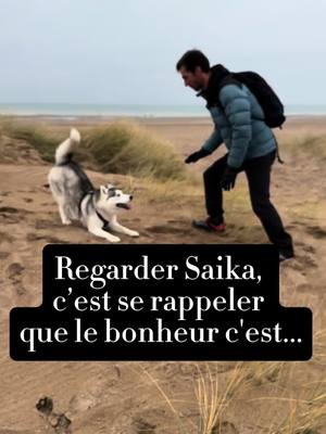 A post by @hey_saika on TikTok caption: Saika étant une princesse des neiges, on allait plus naturellement vers la montagne que la plage avec elle. Pourtant, l'hiver quand il fait "juste bon" pour elle 🤣, la plage est un immense terrain de jeu dans lequel elle s'éclate ! 😍 La preuve en image aujourd'hui 💜 #doglovers #huskylovers #dogmomlife #pawrents #familytime 