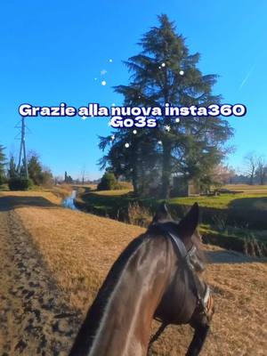 A post by @annaniero on TikTok caption: Semplicemente ganza 🤣 ottima per testare la qualità ✅2025 in arrivo con nuovi contenuti da una prospettiva diversa #insta360go3s #horse #horselove #horsepassion #crazyhorse 