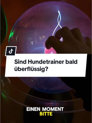 A post by @lakedog_akademie on TikTok caption: Hundetrainer bald überflüssig? #hundeerziehung #hundetraining #hundebegegnung #hundetrainer #hundetrainerausbildung 