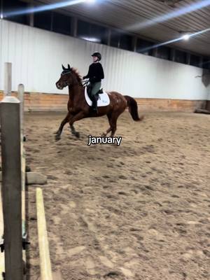 A post by @charlotte.equine8 on TikTok caption: A jump from every moth!! PLEASE everyone take every opportunity you have to ride and show different horses. I feel I have improved so much as a rider this year because of my opportunity’s to ride and show so many amazing horses!!! #foryou #fyp #equestrian #foryoupage #jump #viralvideo #GlowUp 