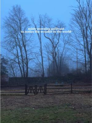 A post by @sophiemariegraf on TikTok caption: “Long before the child learns to talk properly—and long before it learns to think philosophically, the world will have become a habit. A pity, if you ask me. My concern is that you do not grow up to be one of those people who take the world for granted.” — Jostein Gaarder, from the book Sophie’s World I have been re-reading one of my favorite books, Sophie’s World, that was gifted to me in high school by my philosophy teacher. This quote about viewing the world as habit struck me both at 18 and again at 29.  There is so much joy, beauty, and wonder in the world and all we have to do is notice. In this liminal time between the holidays and new years, I’ve been reflecting on my goals for the upcoming year. I don’t like rigid resolutions or concrete, achievement focused goals, but I think maintaining this sense of wonder and making a conscious choice to notice the world around me every day will be my mindset for 2025. 🫶
