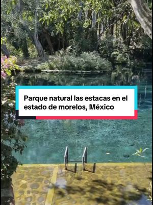 A post by @vive.mexico on TikTok caption: Un parque natural en Morelos que debes descubrir este 2025 #morelos #mexico 