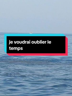 A post by @francais.arabic2 on TikTok caption: je voudrais oublier le temps.... #apprendrelefrançais #apprendresurtiktok #تعلم_اللغة_الإنجليزية #تعلم_على_التيك_توك #france #france🇫🇷 #paris 