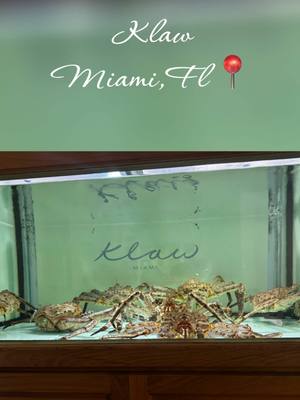 A post by @_lovenye on TikTok caption: Dinner in Miami at @klawrestaurant #klawmiami #restaurantsinmiami #miami #foodtiktok #tiktok #Lifestyle ##restaurant 