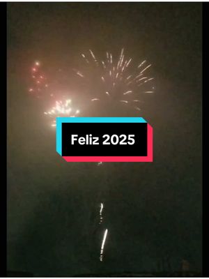 A post by @newseverydayinusa on TikTok caption: Happy New Year 🎆 #happynewyear 