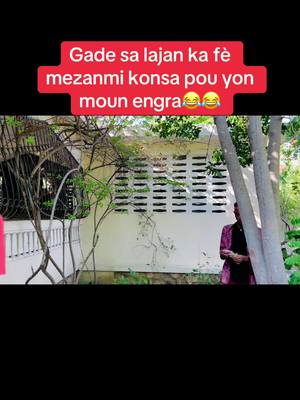 A post by @lilzla70544369 on TikTok caption: Lil zla bezwen yon blennde wi😂😂