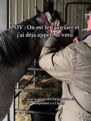 A post by @reflexions_equestres on TikTok caption: Supplément suspicions de problemes de dos/ ventre. On commence bien l’année 🙃 #cheval #lechevalcesttropgenial 