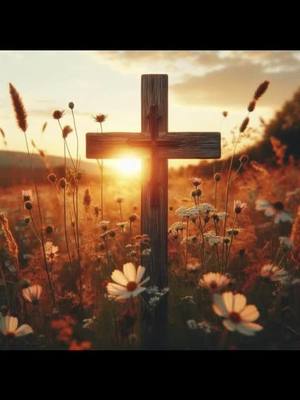 A post by @leeann__c on TikTok caption: #rejoice #christiantiktok #Jesus #fyp #meadow #cross #sunset #wheat 