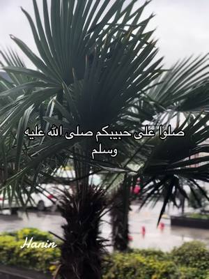 A post by @haninalhaj49 on TikTok