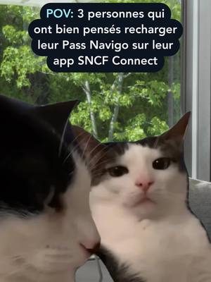 A post by @sncfconnect on TikTok caption: Nous sommes d’accord, vous aussi vous trouvez que recharger votre passe Navigo depuis l’application SNCF Connect, c’est une résolution simple à tenir ?📲🚆 #SNCFConnect #Meme #Resolution2025 #PasseNavigo