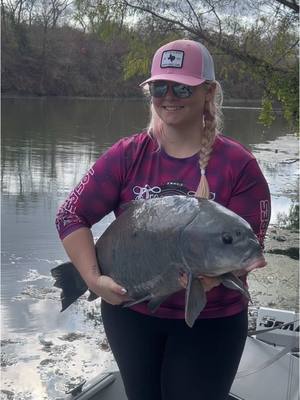 A post by @catching_dinosaurs on TikTok caption: Some more solid river buffalo, I absolutely love these fish! They put up great fights and with practice and persistent chumming can offer some of the best fishing the state has to offer. A normal day can see hundreds of pounds of fish landed. #carpfishing #smallmouthbuffalo #fishing #texas #river #catchandrelease #fishingtackle #hairrig #carp 