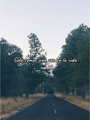 A post by @kiva_mx on TikTok caption: Solo somos una vez en la vida. #fyp #kivamx #tendencia #vida #viajeros 