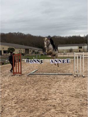 A post by @manon_estivals on TikTok caption: Bonne année 2025 🤩 #cavaliere #horse #jument #jump #sautdobstacle #cheval #bonneannee #2025 