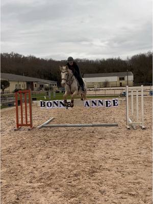 A post by @alexcapricorne on TikTok caption: Bonne année 🐎#bonneabonnée #horse #2025 