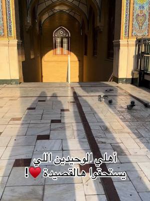 A post by @hlii12_ on TikTok caption: ماشاءالله ولا حول ولاقوة إلا بالله  ♥️ #imamhussain #imamali #najaf #karbala 