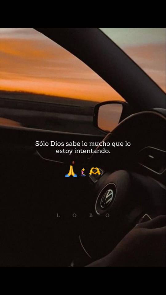 A post by @lizz28191 on TikTok caption: #godblessyou #🙏❤️ 