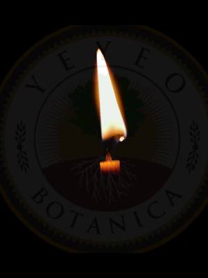 A post by @yeyeobotanica on TikTok caption: We want to see you all be brave all 2025! Use our Lucky Courage Candle to ignite bravery within, empowering you to confidently face any challenge. Order yours now at https://ecs.page.link/BvYk6