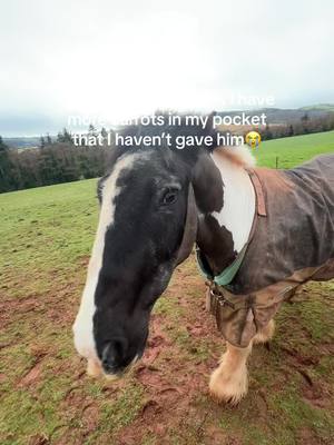 A post by @brandonjohnmills on TikTok caption: When I say I ran, I ran hahaha  #fyp #horse #foryoupagе 