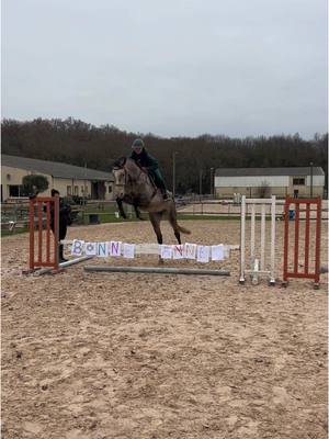 A post by @manon_estivals on TikTok caption: Toute première séance de saut pour Kannan 🩷 #cavaliere #horse #cheval #sautdobstacle #jump #jeunecheval #sellefrancais 