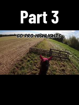 A post by @whizzywackywelsh on TikTok caption: Part 3 - Go pro highlights over the years  #whizzywackywelsh #equestrian #pony #gopro #galloping  #hatcam 