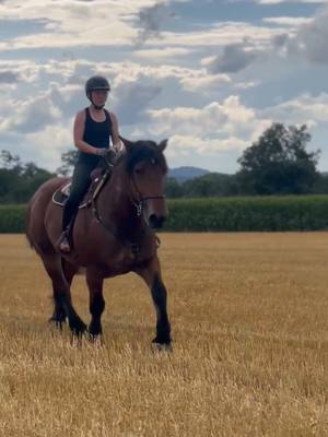 A post by @soulhorsesforlife on TikTok caption: Freue mich schon wenn es draußen wieder heller und gemütlicher wird🥹❤️  #beate😍😍❤ #stoppelfeld 