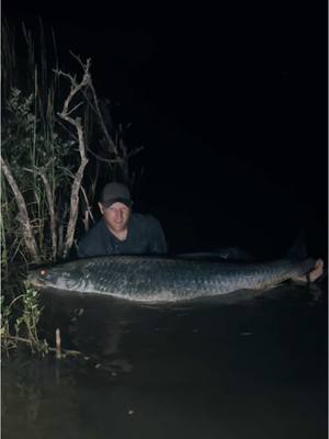 A post by @catching_dinosaurs on TikTok caption: Went from no tarpon to catching 15 tarpon during 2024, hoping to make that many more during 2025. #tarponfishing #tarpon #fishing #texas #bkkhooks #catchandrelease #fishingtackle #vexanfishing #shimano #seaarkboats #fullmoon #monsterfish #livebait 